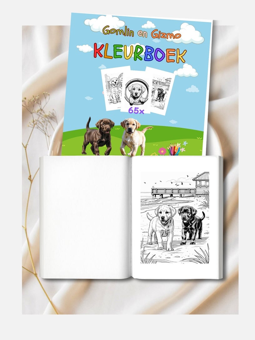 Binnenpagina’s en illustraties uit een boek van Gomlin en Gizmo