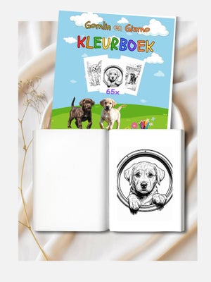 Het kleurboek van Gomlin en Gizmo