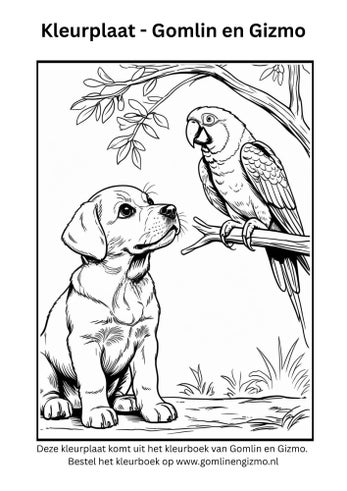 Kleurplaat: Gizmo en een papegaai