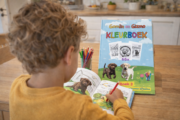 Kind kleurt in het Gomlin en Gizmo kleurboek aan tafel