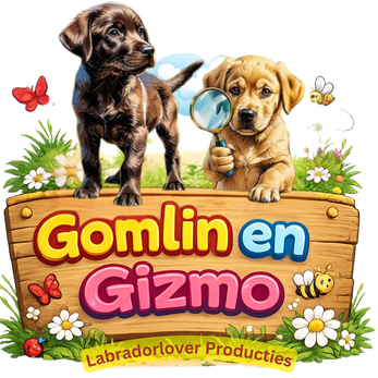 Gomlin en Gizmo — twee speelse labradorpups