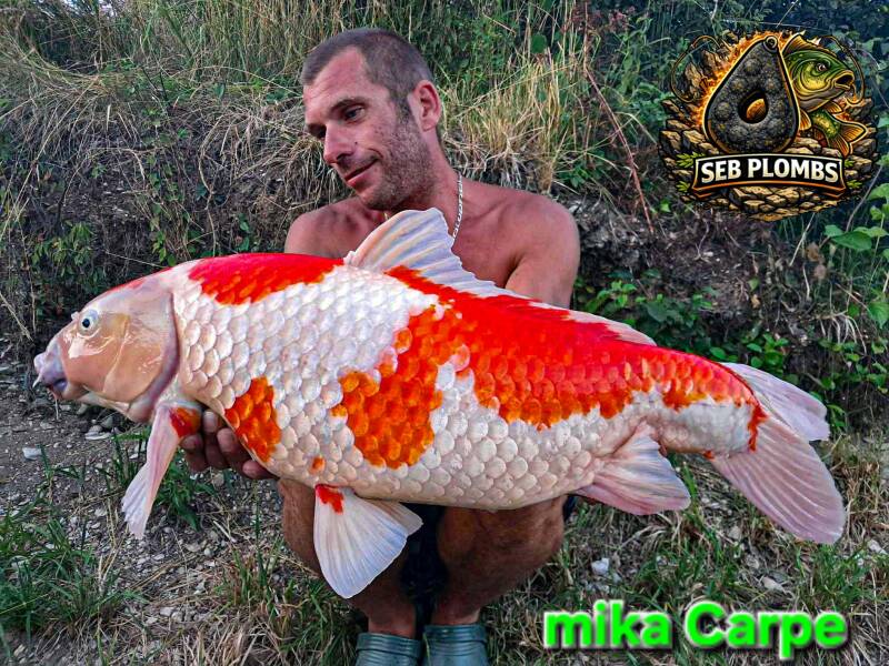 messenger_creation_7bf4c9ed-fe63-488e-9c9c-3c300e1b6715-standard.jpg