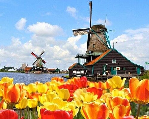 Tour from Amsterdam
