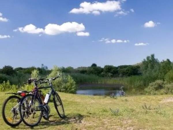 Fietstocht door de Duinen