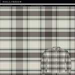 check-2-standard.png