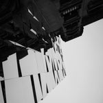 img_6307-standard.jpg