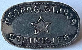 aif-propaganda-stevne-1939-steinkjer-a-standard.jpg