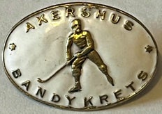 akershus-bandykrets-hvit-a-standard-7hst2r.jpg