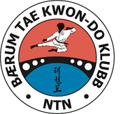 b-rum-tae-kwon-do-klubb-standard.png