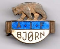 bj-rn-arbeideridrettsforeningen-standard.jpg
