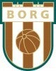 borg-idrettsforeningen-standard.jpg