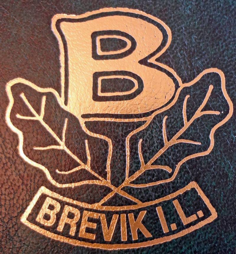 brevik-idrettslag-standard.jpg