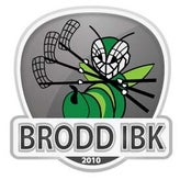 brodd-innebandyklubb-standard.jpg