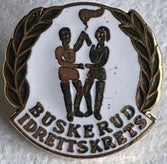 buskerud-standard.jpg
