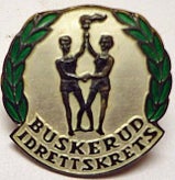 buskerud-idrettskrets-2-standard.jpg
