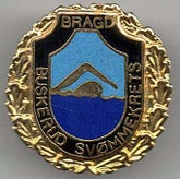buskerud-sv-mmekrets-bragd-standard.jpg