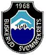 buskerud-sv-mmekrets-standard.png