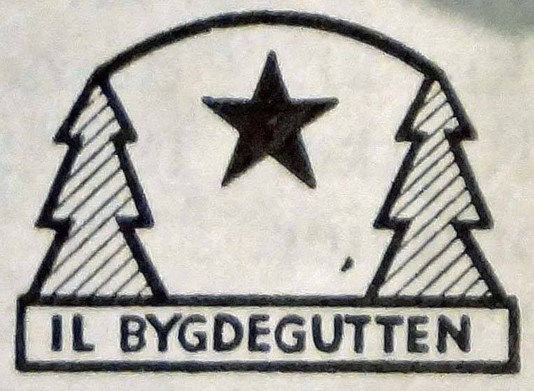 bygdegutten-idrettslaget-standard.jpg