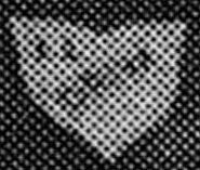 driva-standard.jpg