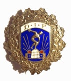 drosjechauff-renes-idrettsforening-krans-standard-ul0sbm.jpg
