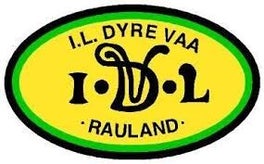 dyre-vaa-idrettslaget-standard.jpg