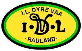 dyre-vaa-idrettslaget-standard.jpg