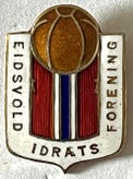 eidsvold-idrettsforening-pin-a-standard.jpg