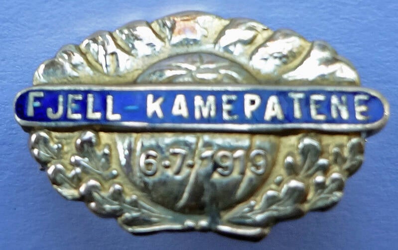 fjell-kameratene-idrettslaget-19x12mm-585-gull-safir-a-standard.jpg