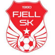 fjell-sportsklubb-standard.jpg