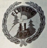 fluberg-idrettslag-standard.jpg
