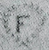 freidig-bryn-standard.jpg