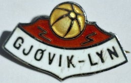 gj-vik-lyn-fk-standard-zy10or.jpg