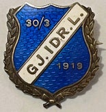 gjerstad-idrettslag-a-standard.jpg