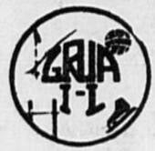 grua-il-standard.jpg