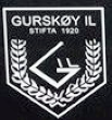 gursk-y-il-standard.png