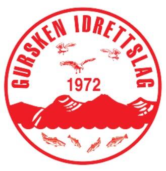 gursken-il-standard.jpg