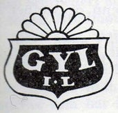 gyl-idrettslag-tingvoll-standard.jpg