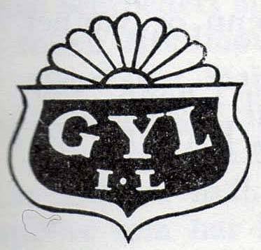 gyl-idrettslag-tingvoll-standard.jpg