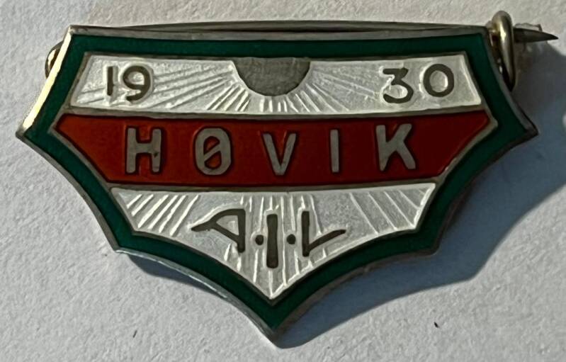 h-vik-ail-standard.jpg