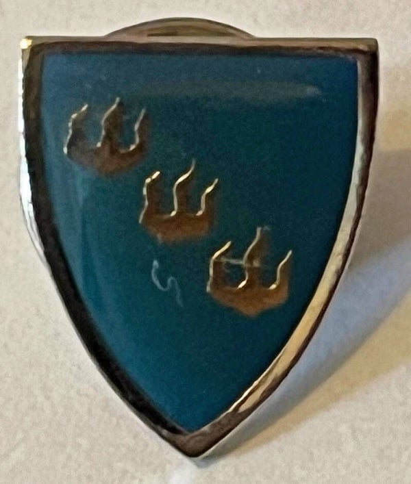 Høyanger kommune type 2