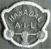 hakadal-arbeideridrettslag-standard.jpg
