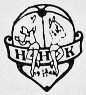 halden-h-ndballklubb-2-standard.jpg