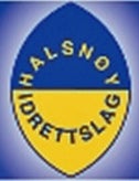 halsn-y-il-standard.jpg