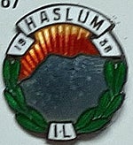 haslum-il-standard.jpg