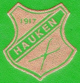 hauken-idrettslaget-standard.jpg