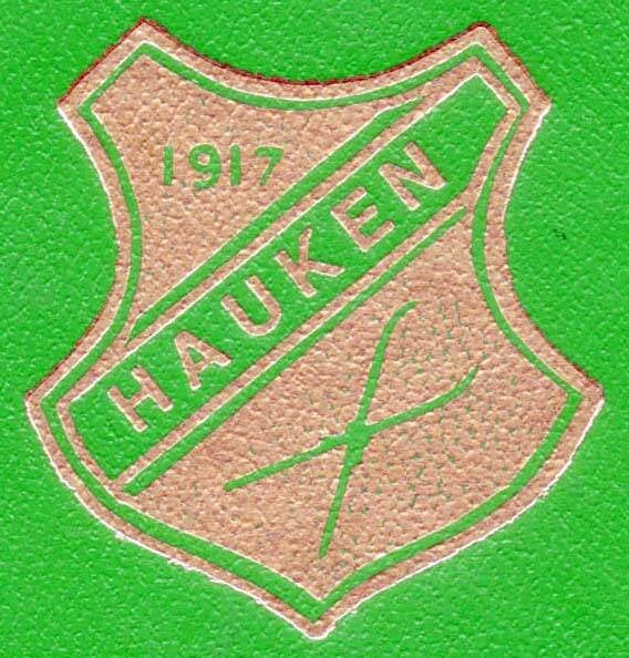 hauken-idrettslaget-standard.jpg