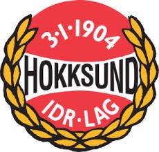 hokksund-idrettslag-standard.jpg