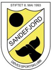 holtan-d-vesportsklubb-sandefjord-standard-j6lv20.jpg