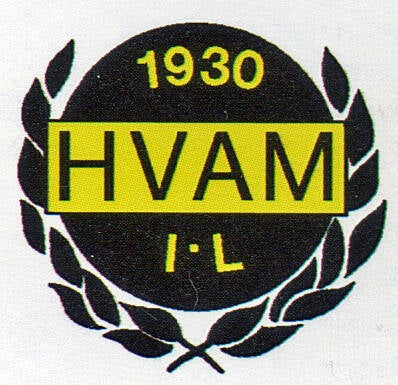 hvam-idrettslag-standard.jpg