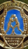 kristiania-brytekreds-red-standard.jpg